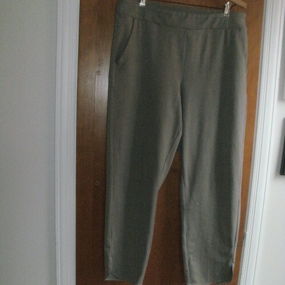 Rachel Zoe Beige Taupe Easy to Wear Pull on Cropped Pants with Pockets size L